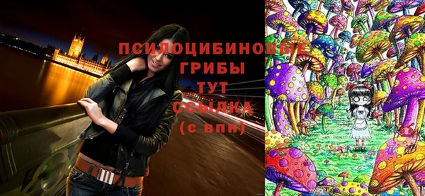 mix Богородск