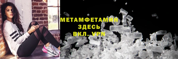 прущие грибы Богородицк