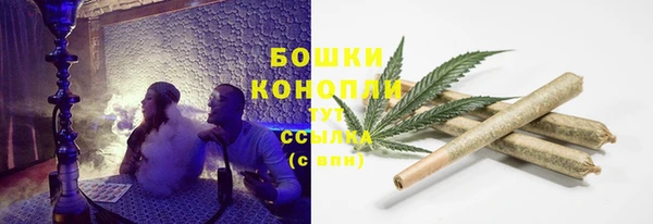mix Богородск