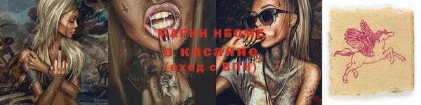 прущие грибы Богородицк