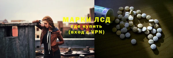 прущие грибы Богородицк