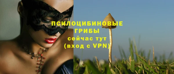 дурь Богданович