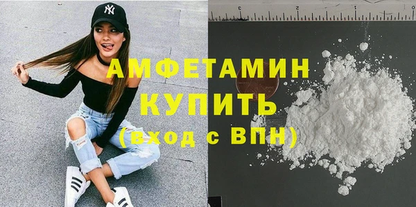 прущие грибы Богородицк