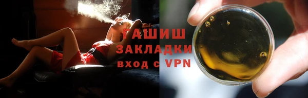 прущие грибы Богородицк