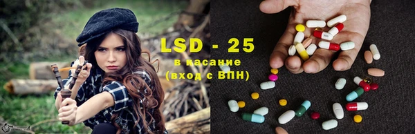 прущие грибы Богородицк