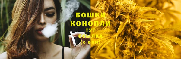 дурь Богданович