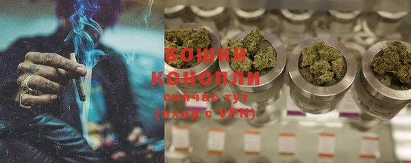 mix Богородск