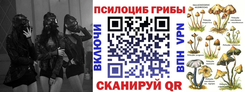 Купить где Магас Галлюциногенные грибы Cubensis